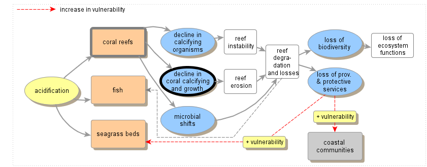 Declining Coral Growth