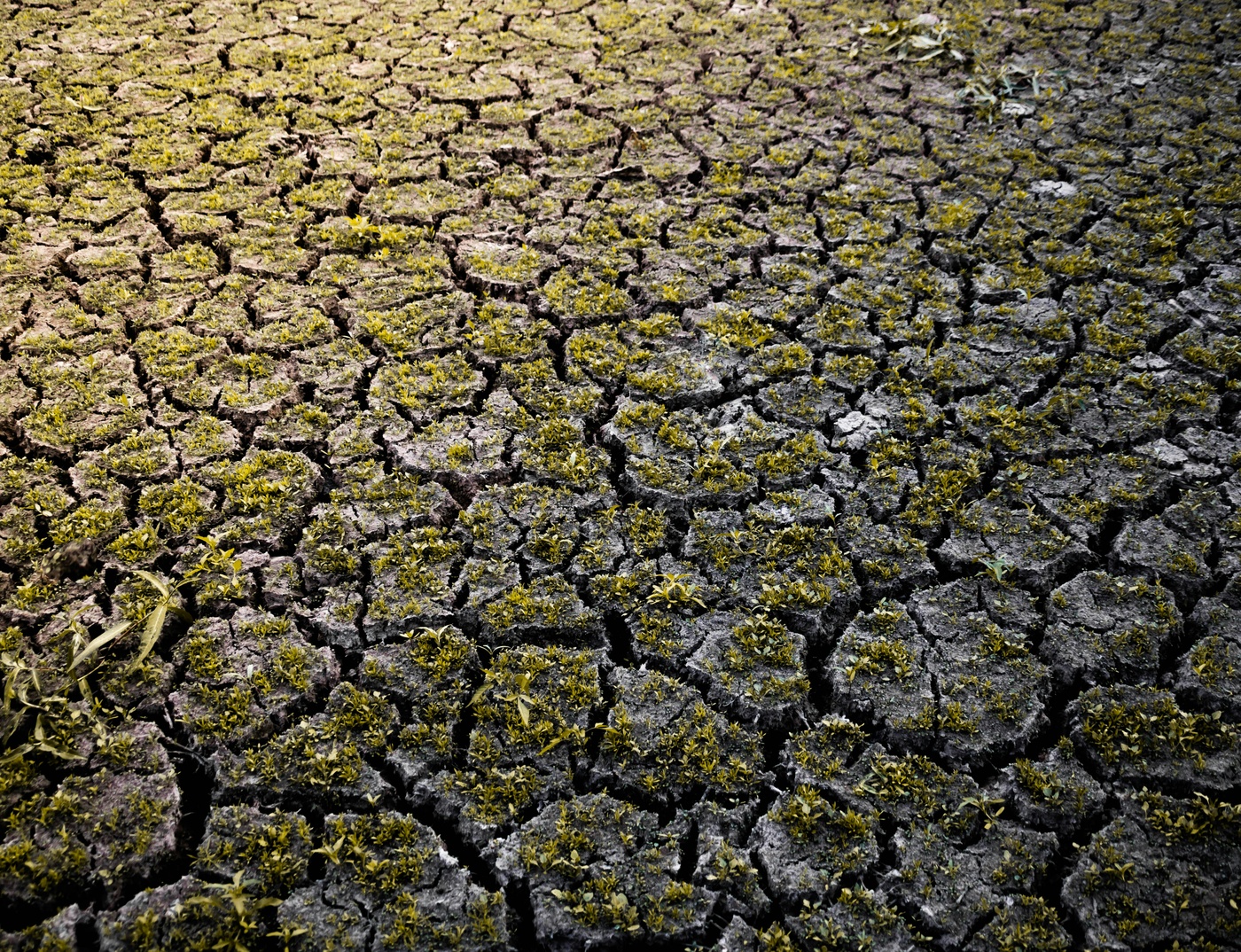 Fernwirkungen in der Atmosphäre haben Risiko für Hitzewellen vervierfacht