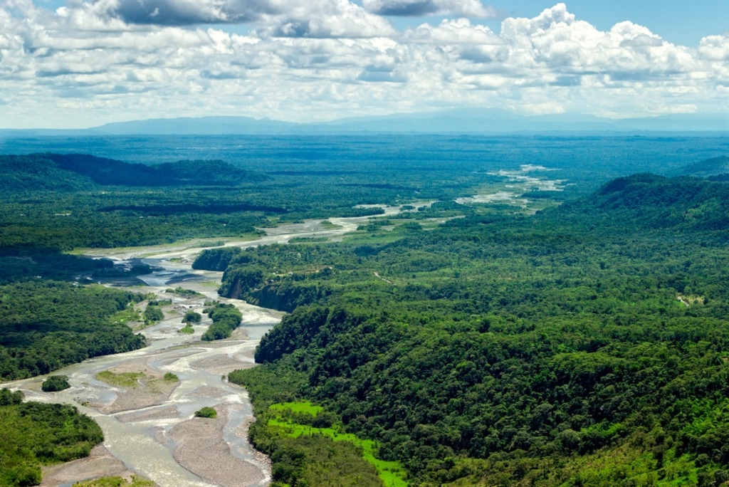 Neue Karte hilft bei nachhaltiger Nutzung von Biomasse