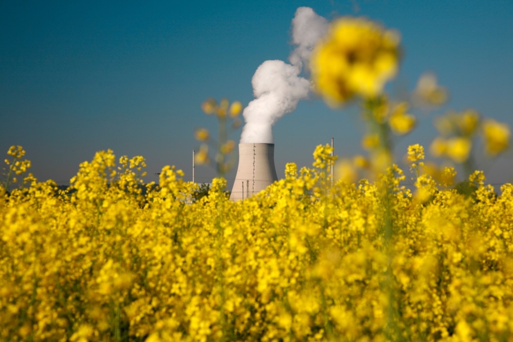 IPCC-Leitautorin: Entzug von CO2 in großem Stil für 1,5 Grad nötig