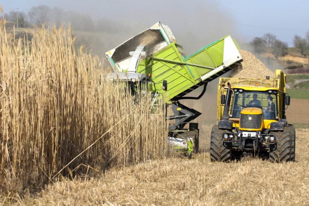 Klima-Plantagen machen die Welt nicht nachhaltiger