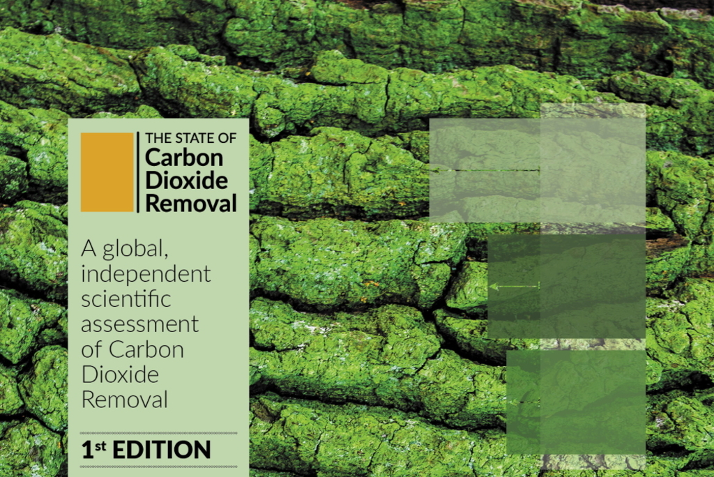 Neuer Bericht zeigt „große Lücke“ bei CO2-Entnahmen aus der Atmosphäre auf