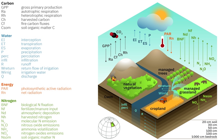 LPJmL grid cell scheme