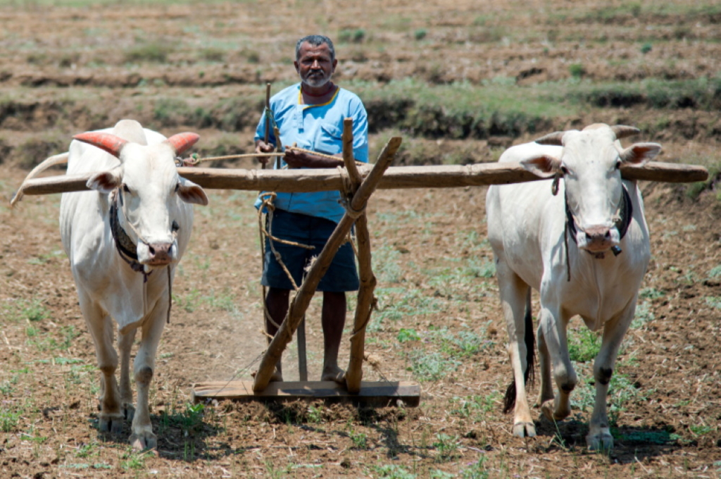 Climate change may reduce welfare of Indian subsistence farmers by one third