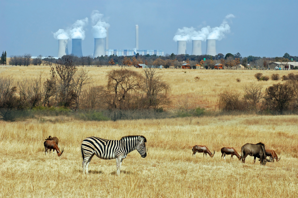 Coal boom in sub-Saharan Africa