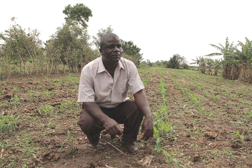 Smart design of land tenure is important for Africa