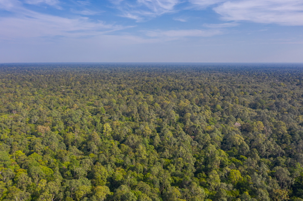 Cleaning up emissions from our atmosphere