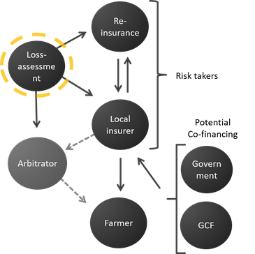 Risk Transfer: Insurance Solutions — Potsdam Institute For Climate ...