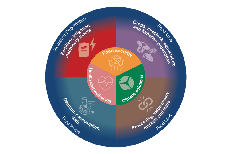 Focus on food to address climate change — Potsdam Institute for Climate ...