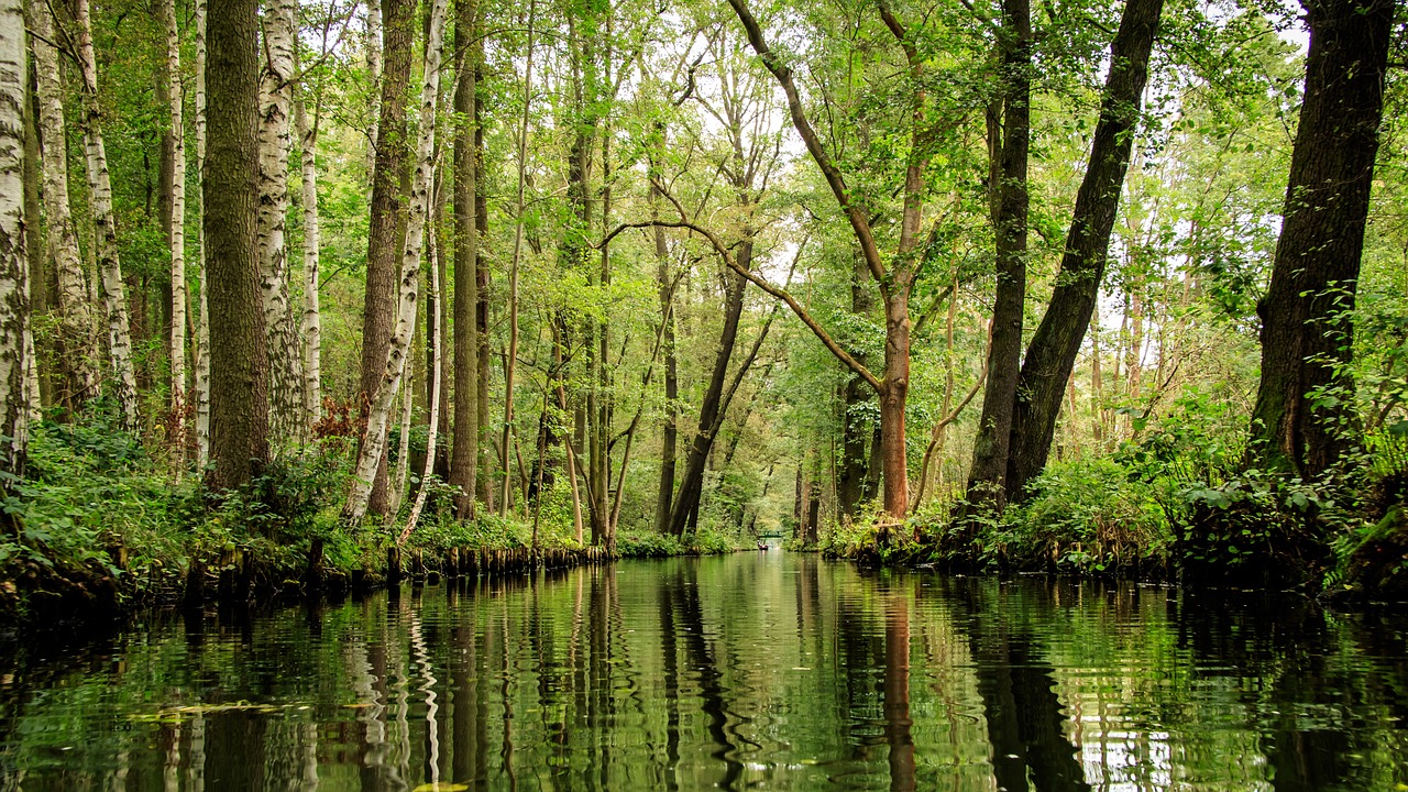 Scientific Climate Council of the State of Brandenburg: ‘Climate protection is important for Brandenburg's future viability’