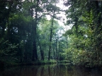 Spreewald 3