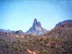 Sonoran Desert